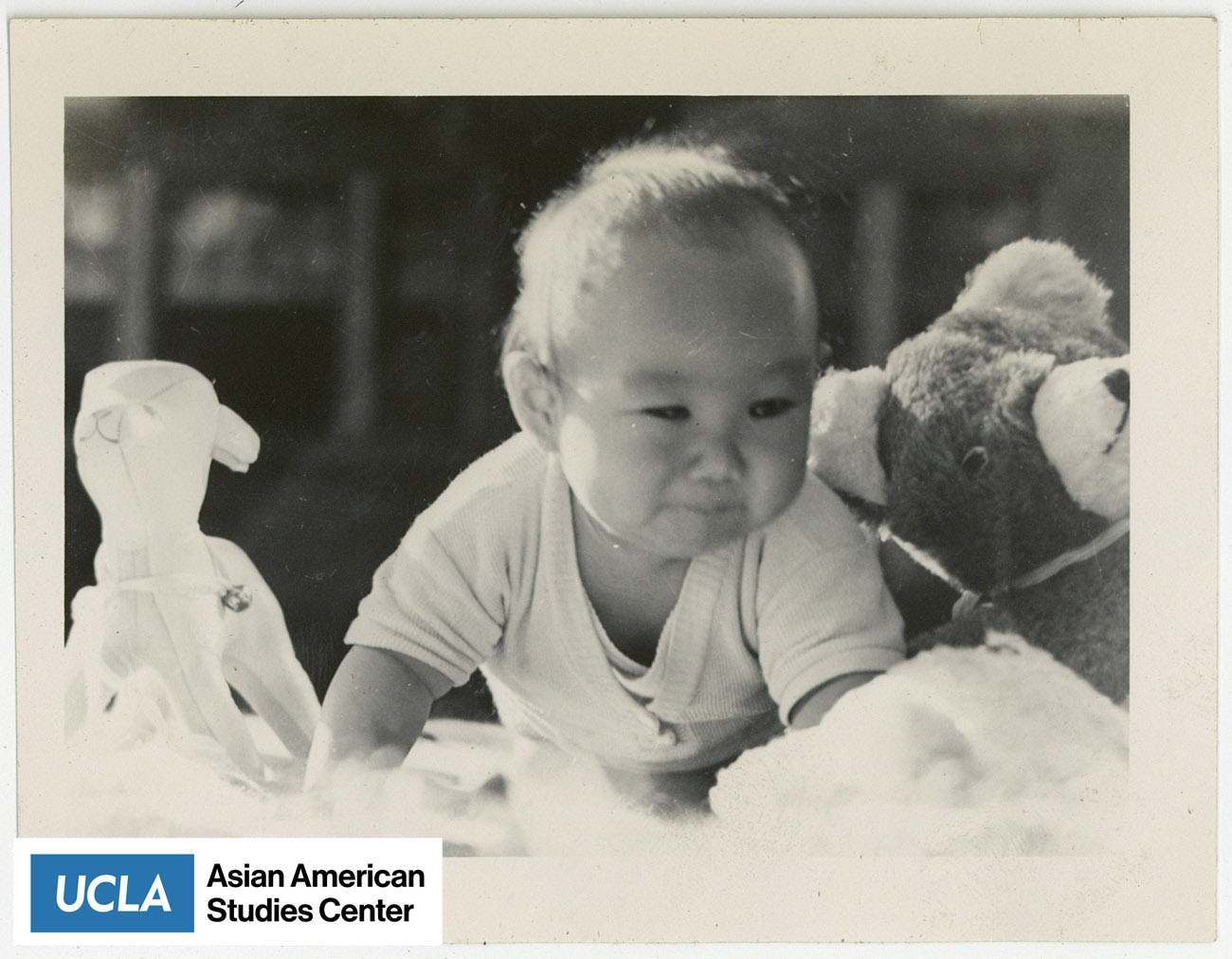 An infant baby crawling between a toy dear and bear.